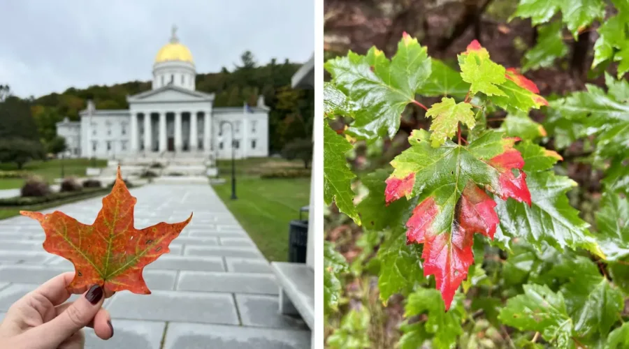 Fall in Vermont