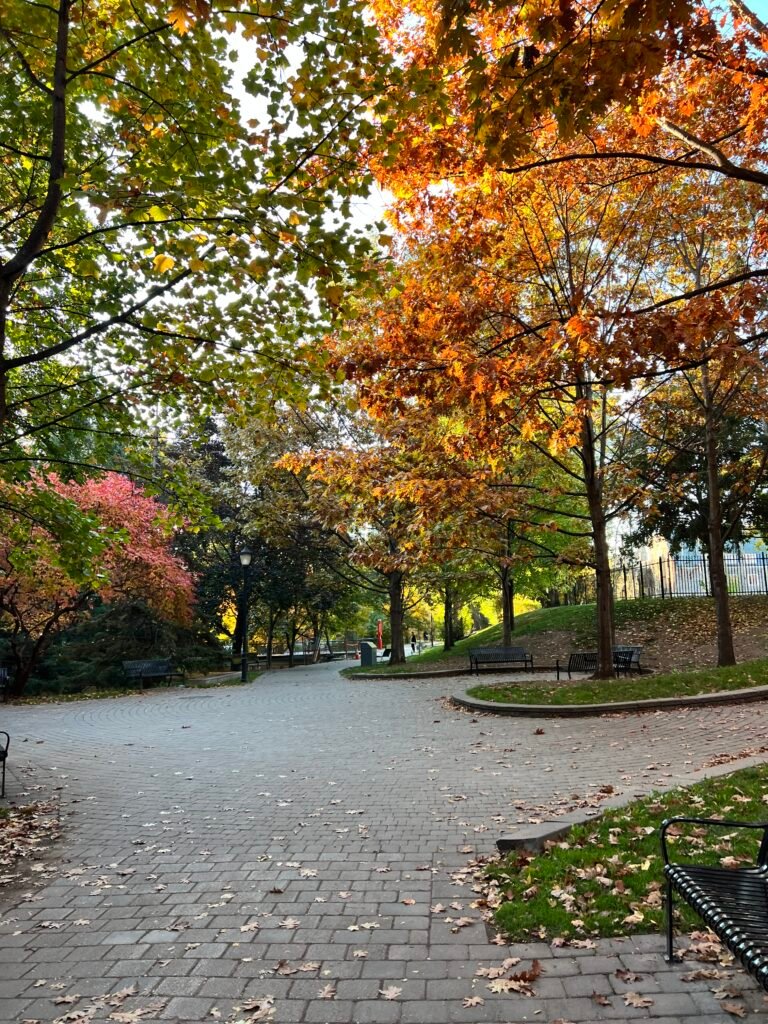 Philosopher's Walk, Toronto