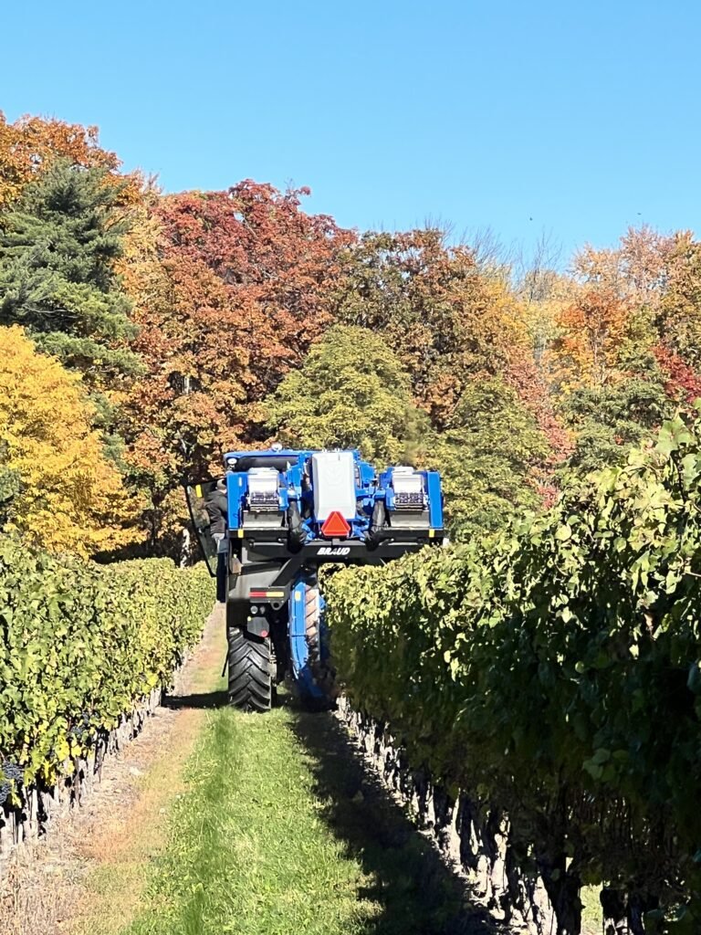 Two Sisters Winery, Niagara Falls