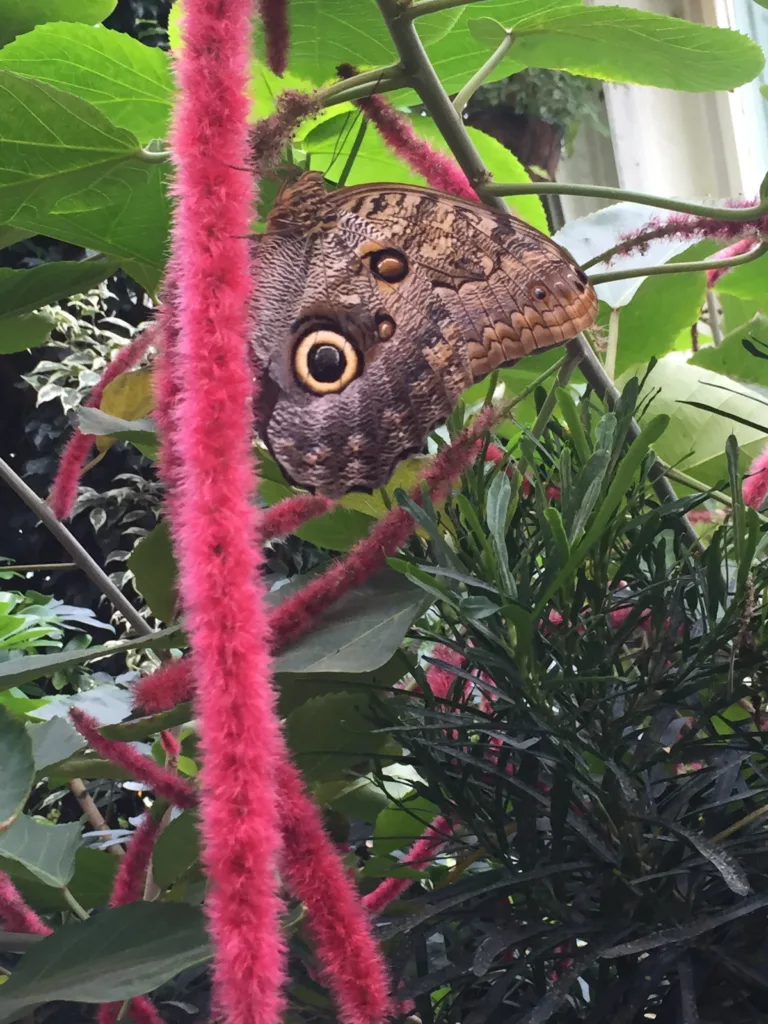 Burggarten, Vienna, Austria