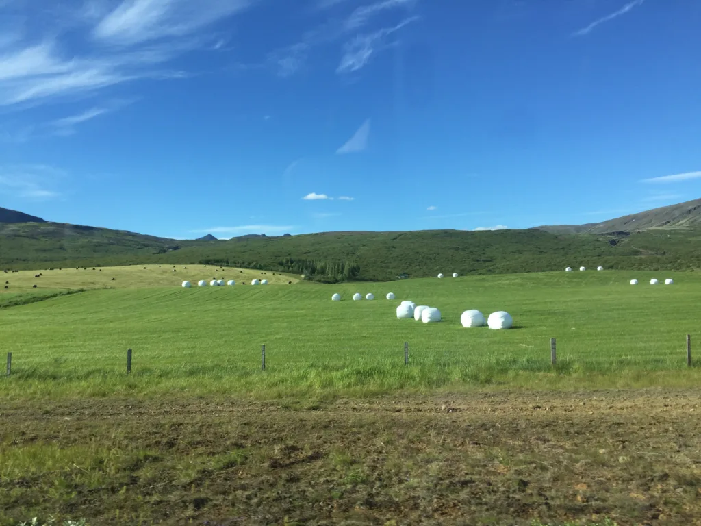 Efstidalur Farm, Iceland