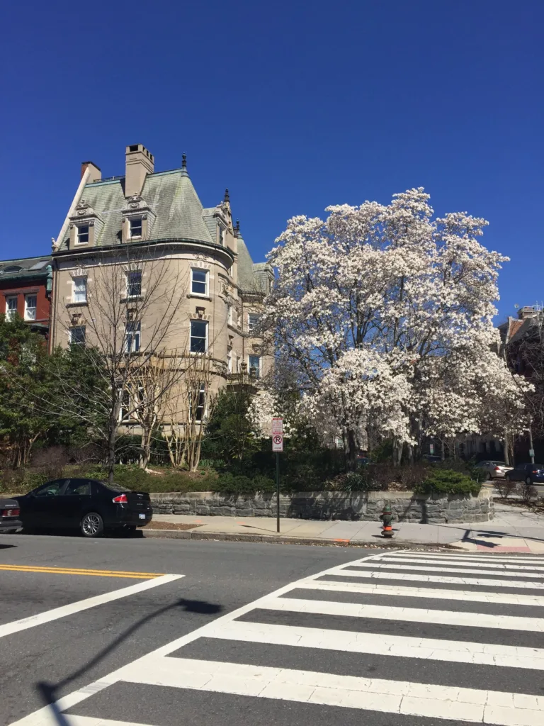 Dupont Circle, Washington DC