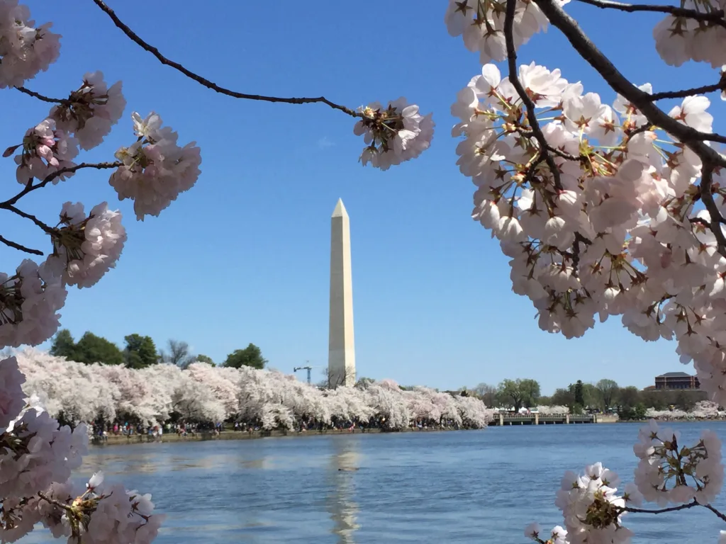 Tidal Basin, Washington DC