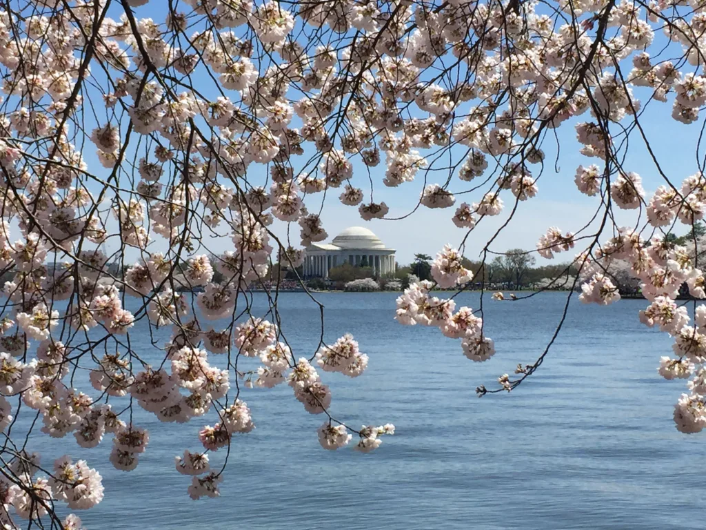 Tidal Basin, Washington DC