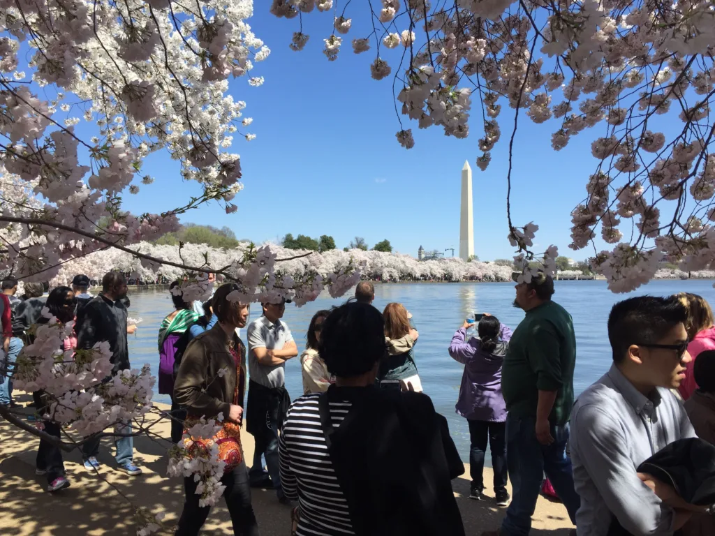 Tidal Basin, Washington DC