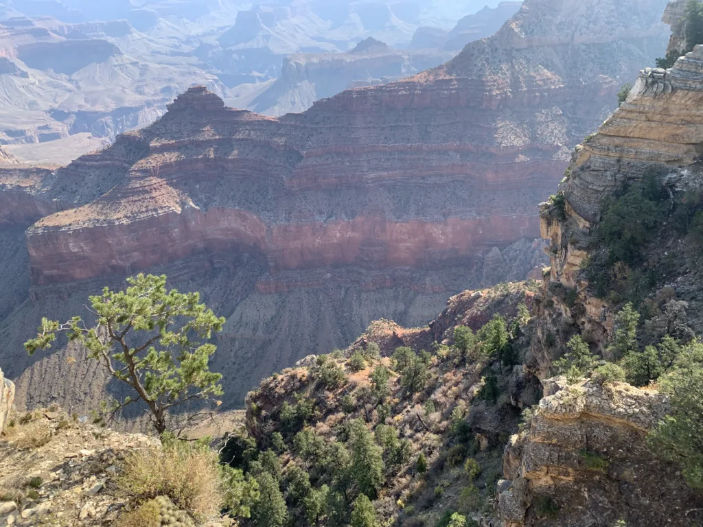 The Grand Canyon