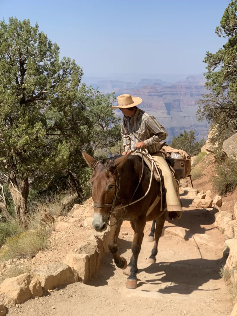 Grand Canyon Hikes