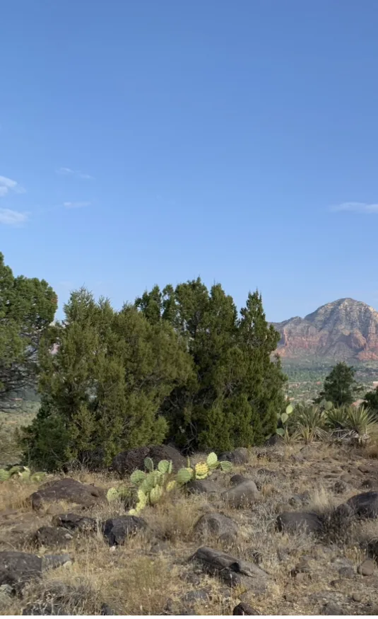 Airport Mesa Sedona