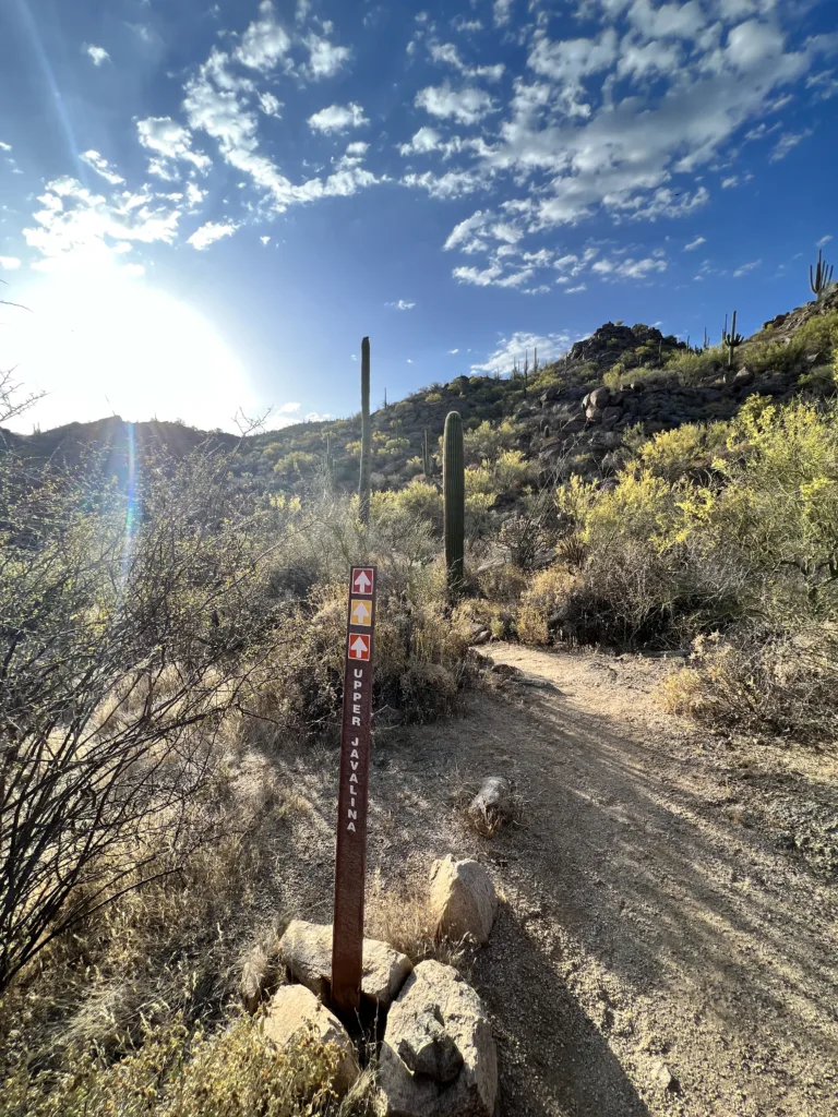 Hike Tucson Arizona