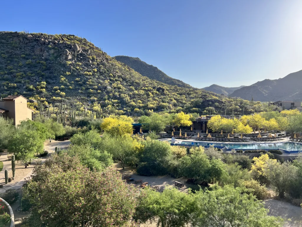 Ritz-Carlton Dove Mountain Pool