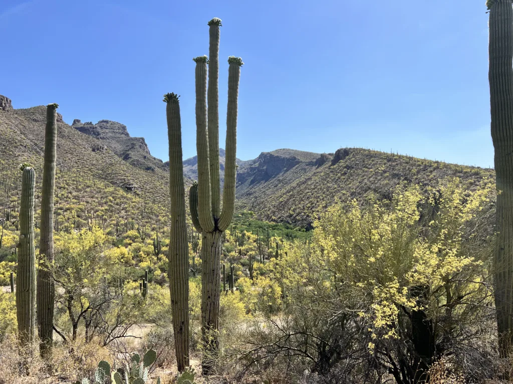 Seven Falls Hike