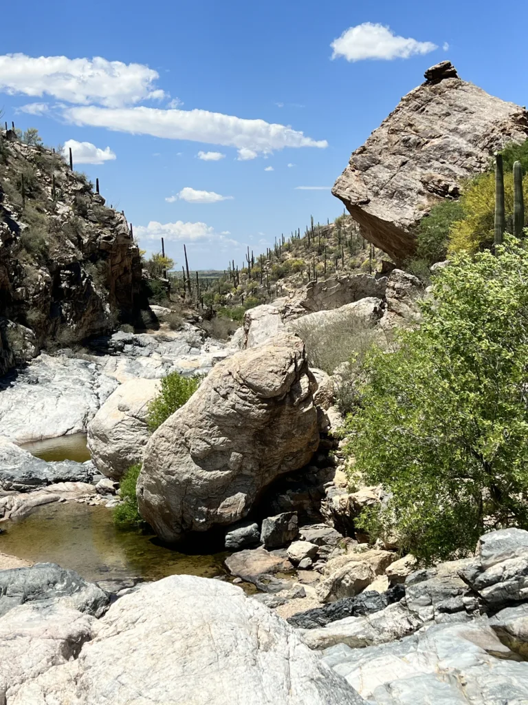 Lower Taque Verde Falls Hike