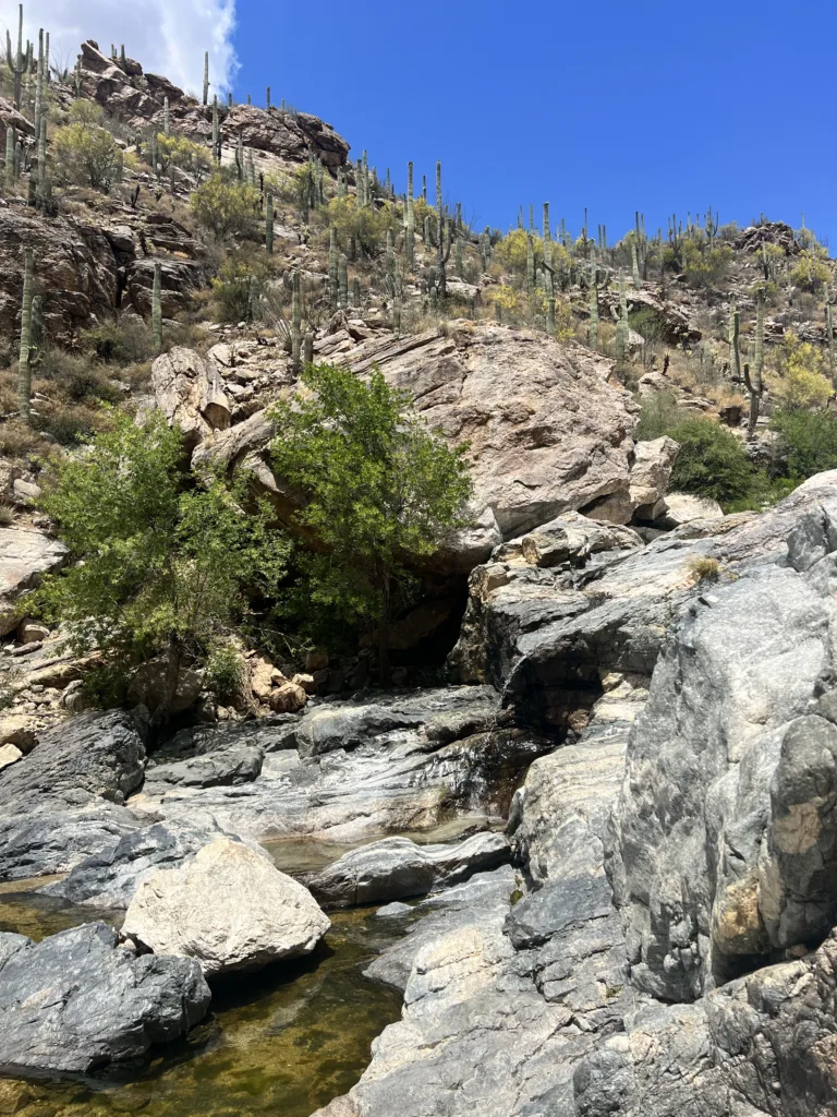 Lower Taque Verde Falls Hike