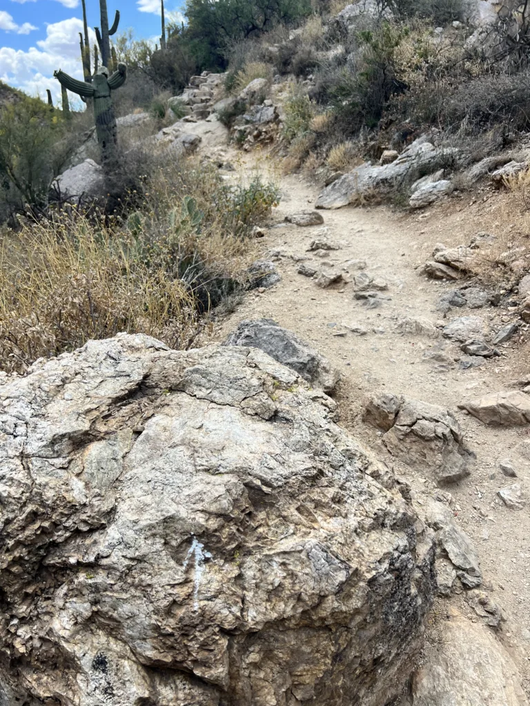 Lower Taque Verde Falls Hike