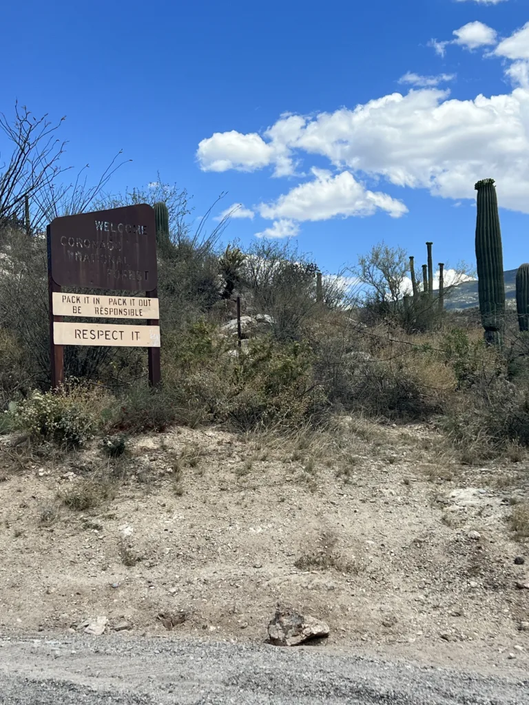 Coronado National Forest Hike