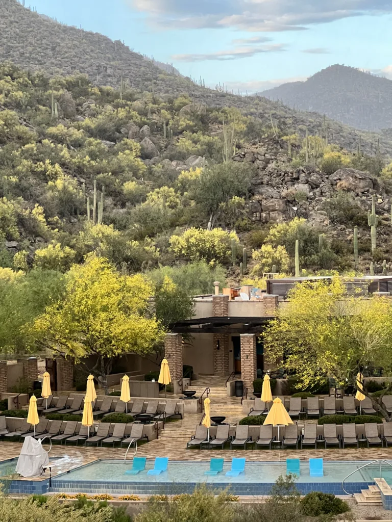 Ritz-Carlton Dove Mountain Pool