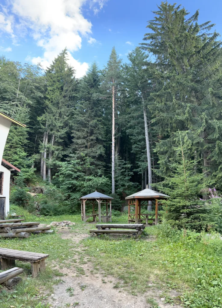 Vitosha mountain