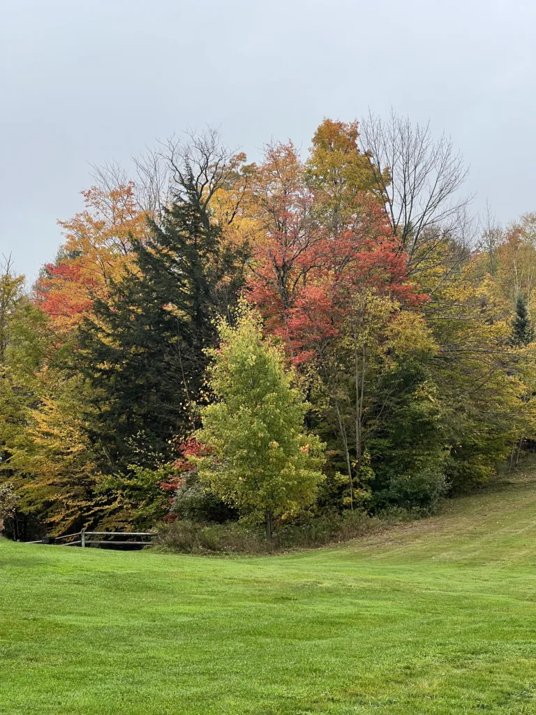 Smuggler's Notch Pass