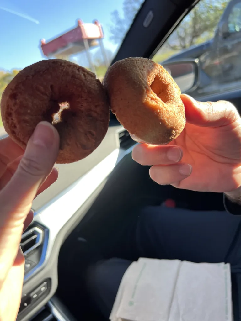 Apple Cider Doughnuts