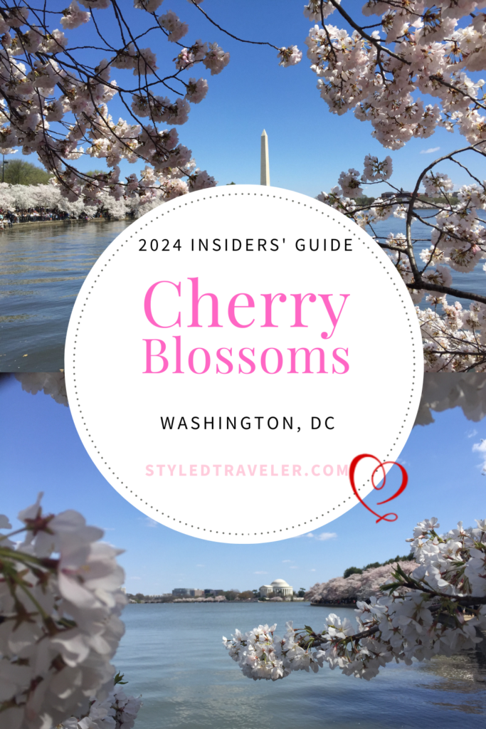 Experience the Magic of Cherry Blossoms in Washington, DC